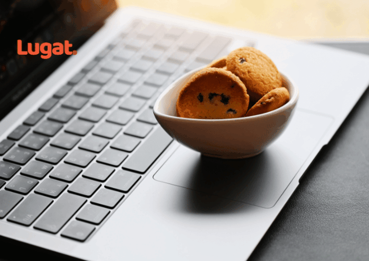 What Are Cookies, What Do They Do, and What Are They Used For? 1 What Are Cookies, What Do They Do, and What Are They Used For?