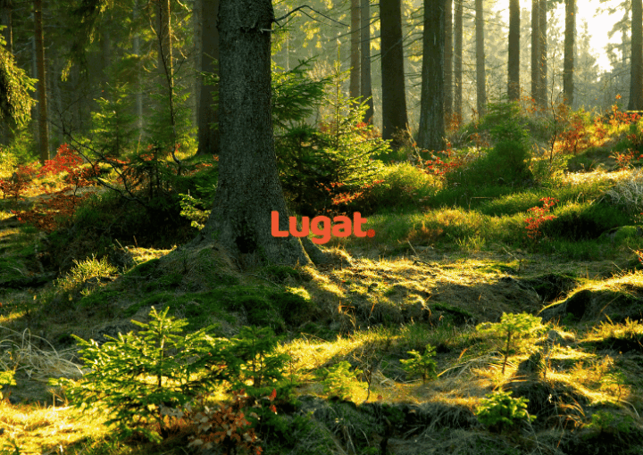 What Is Evergreen Content and How Do You Create It? 1 What Is Evergreen Content and How Do You Create It?
